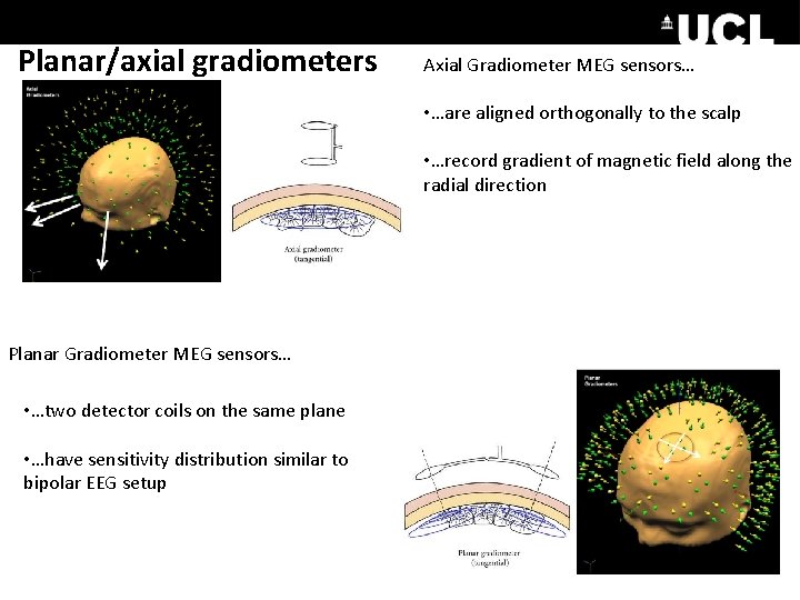 Planar/axial gradiometers Axial Gradiometer MEG sensors… • …are aligned orthogonally to the scalp •