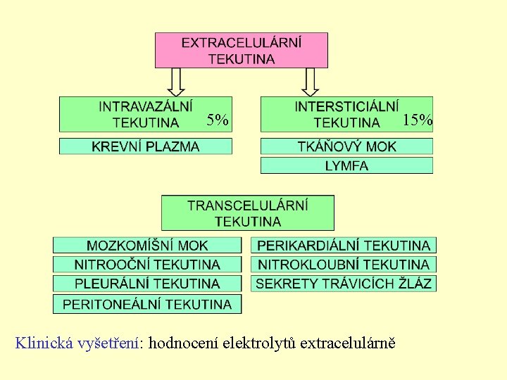 5% Klinická vyšetření: hodnocení elektrolytů extracelulárně 15% 