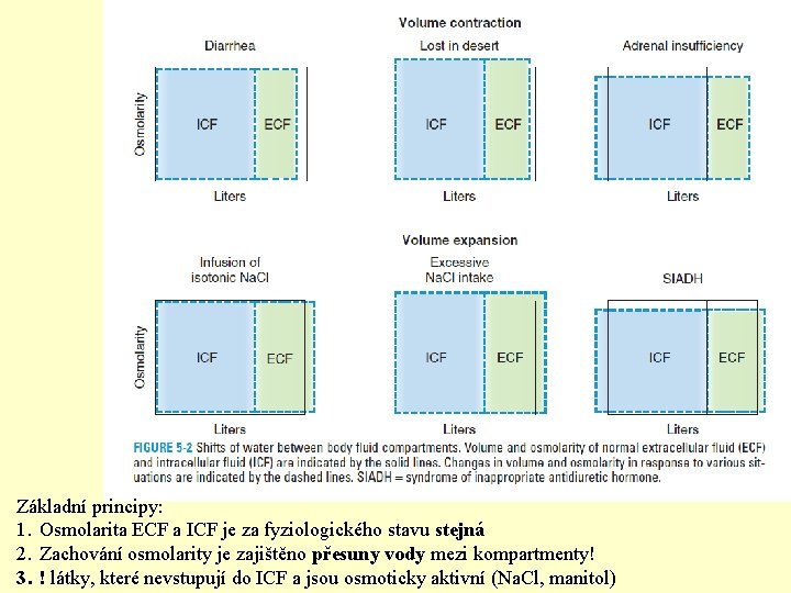 Základní principy: 1. Osmolarita ECF a ICF je za fyziologického stavu stejná 2. Zachování