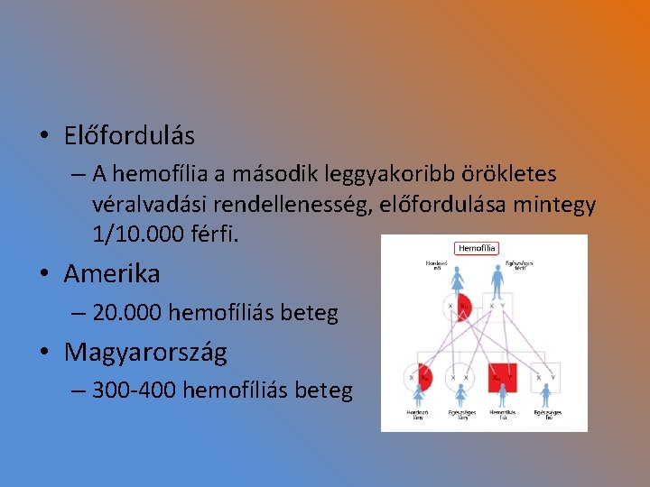  • Előfordulás – A hemofília a második leggyakoribb örökletes véralvadási rendellenesség, előfordulása mintegy