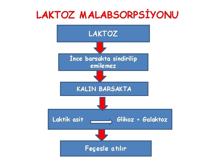 LAKTOZ MALABSORPSİYONU LAKTOZ İnce barsakta sindirilip emilemez KALIN BARSAKTA Laktik asit Glikoz + Galaktoz