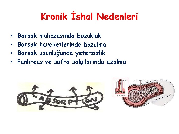 Kronik İshal Nedenleri • • Barsak mukozasında bozukluk Barsak hareketlerinde bozulma Barsak uzunluğunda yetersizlik