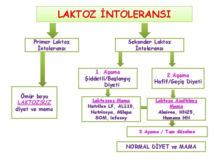 LAKTOZ İNTOLERANSI Primer Laktoz İntoleransı Sekonder Laktoz İntoleransı 1. Aşama Şiddetli/Başlangıç Diyeti Ömür boyu