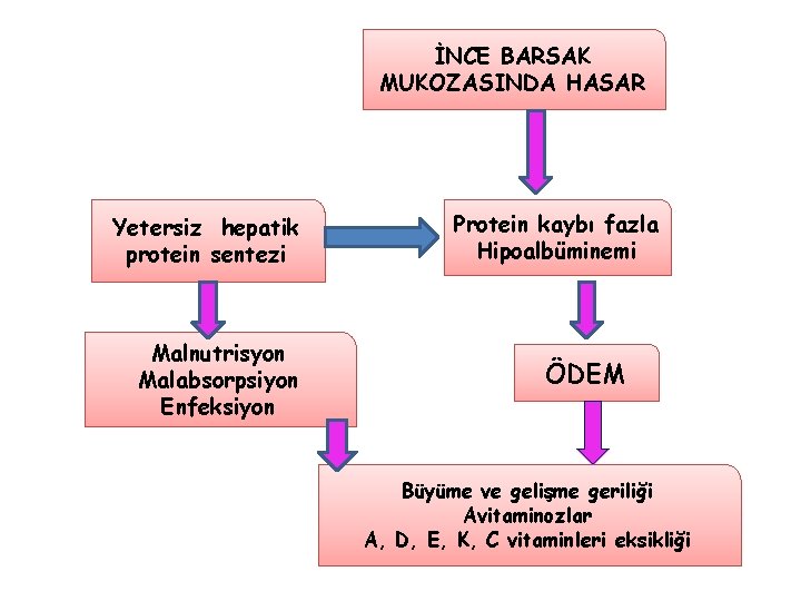 İNCE BARSAK MUKOZASINDA HASAR Yetersiz hepatik protein sentezi Malnutrisyon Malabsorpsiyon Enfeksiyon Protein kaybı fazla