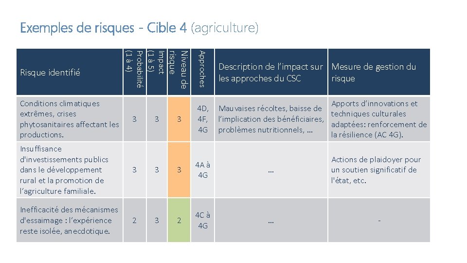 Exemples de risques - Cible 4 (agriculture) 3 3 Approches Niveau de risque Conditions