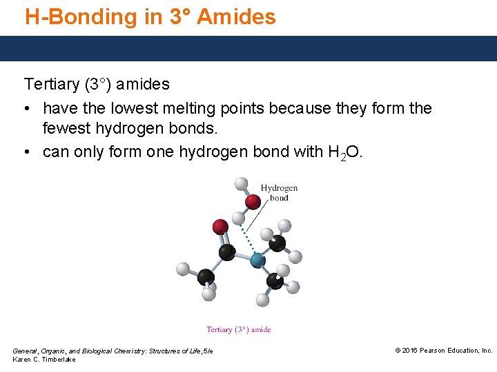 H-Bonding in 3° Amides Tertiary (3°) amides • have the lowest melting points because