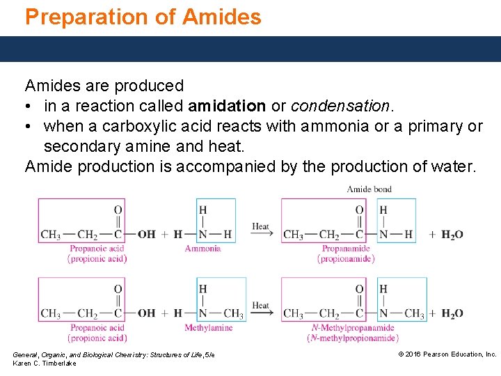Preparation of Amides are produced • in a reaction called amidation or condensation. •