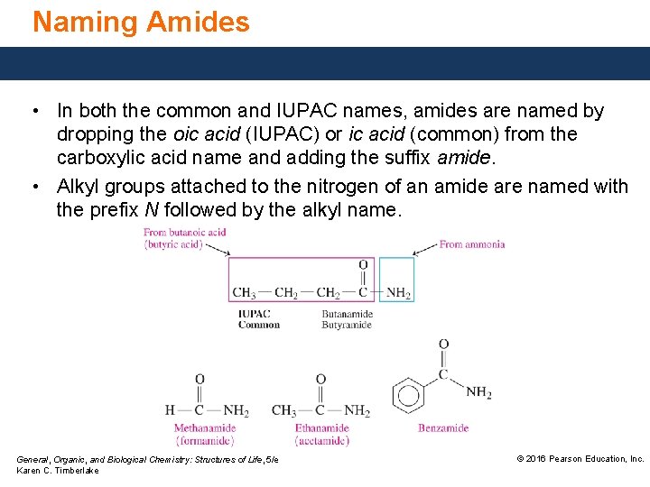 Naming Amides • In both the common and IUPAC names, amides are named by