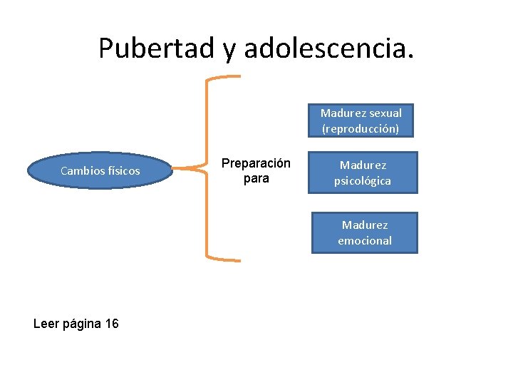 Pubertad y adolescencia. Madurez sexual (reproducción) Cambios físicos Preparación para Madurez psicológica Madurez emocional