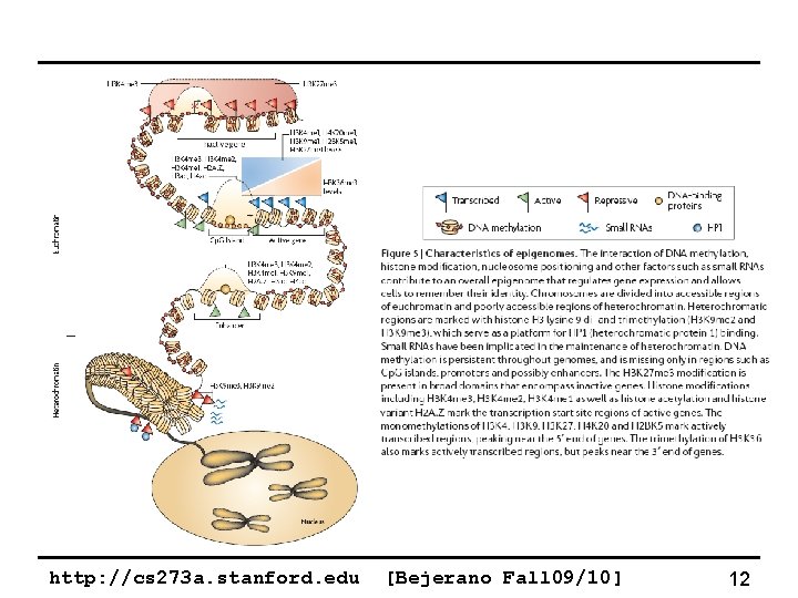 http: //cs 273 a. stanford. edu [Bejerano Fall 09/10] 12 