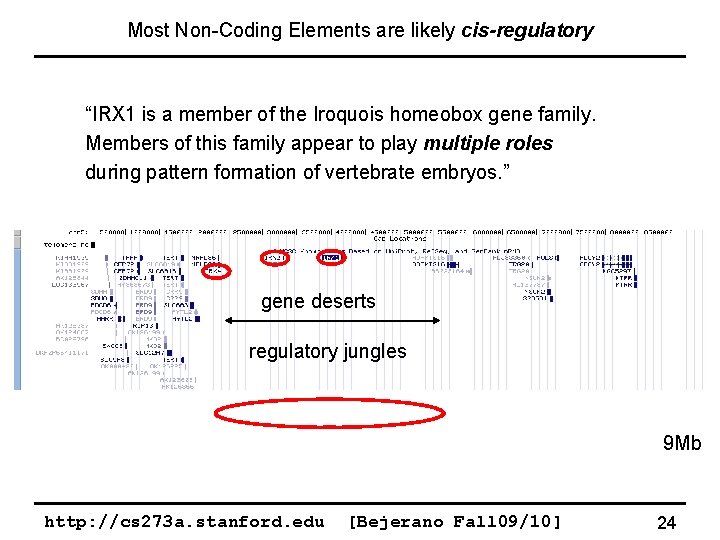 Most Non-Coding Elements are likely cis-regulatory “IRX 1 is a member of the Iroquois