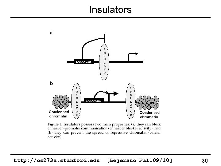 Insulators http: //cs 273 a. stanford. edu [Bejerano Fall 09/10] 30 