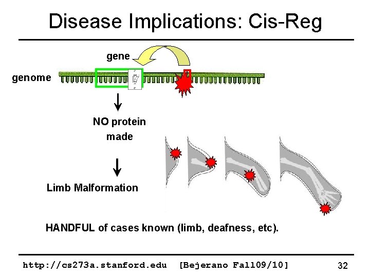 Disease Implications: Cis-Reg gene genome NO protein made Limb Malformation HANDFUL of cases known