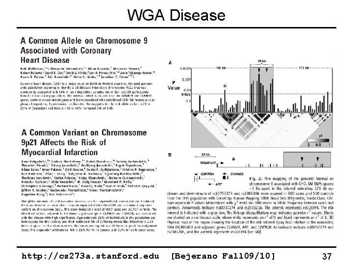 WGA Disease http: //cs 273 a. stanford. edu [Bejerano Fall 09/10] 37 