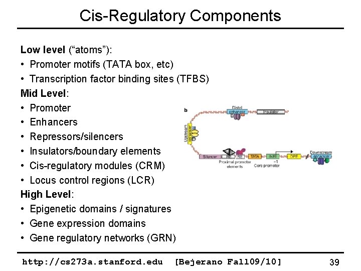 Cis-Regulatory Components Low level (“atoms”): • Promoter motifs (TATA box, etc) • Transcription factor