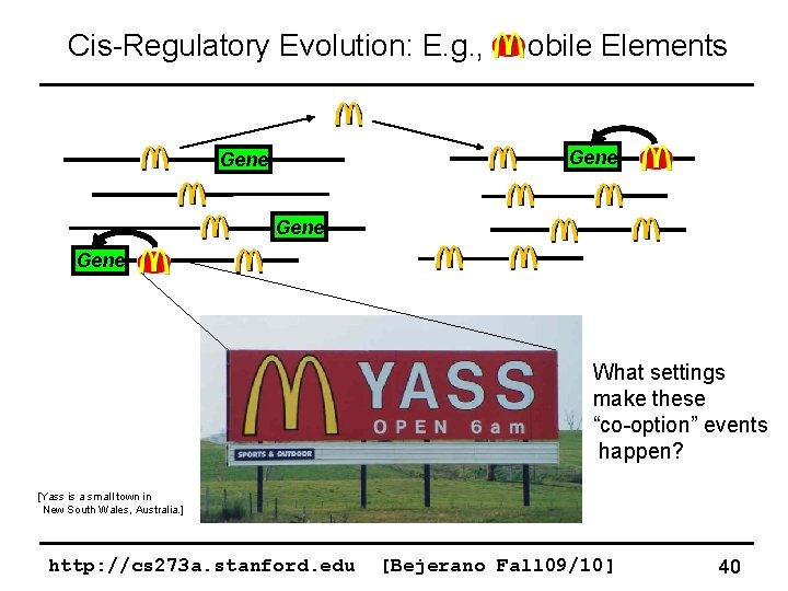 Cis-Regulatory Evolution: E. g. , obile Elements Gene What settings make these “co-option” events