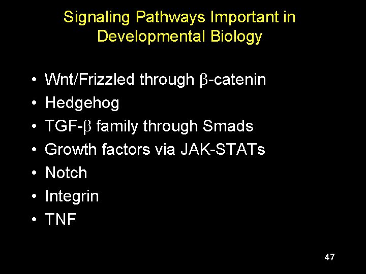 Signaling Pathways Important in Developmental Biology • • Wnt/Frizzled through b-catenin Hedgehog TGF-b family