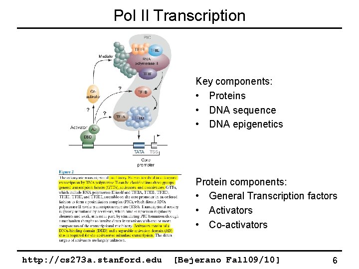 Pol II Transcription Key components: • Proteins • DNA sequence • DNA epigenetics Protein