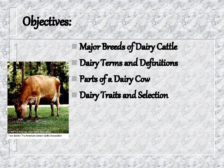 Objectives: n Major Breeds of Dairy Cattle n Dairy Terms and Definitions n Parts