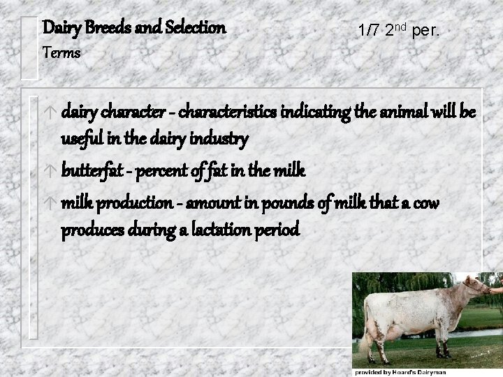Dairy Breeds and Selection 1/7 2 nd per. Terms á dairy character - characteristics