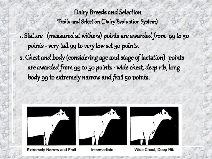 Dairy Breeds and Selection Traits and Selection (Dairy Evaluation System) 1. Stature (measured at