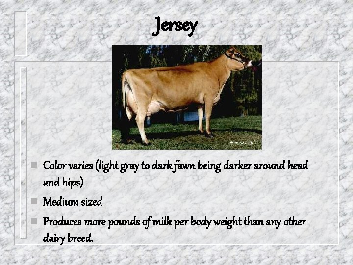 Jersey n n n Color varies (light gray to dark fawn being darker around