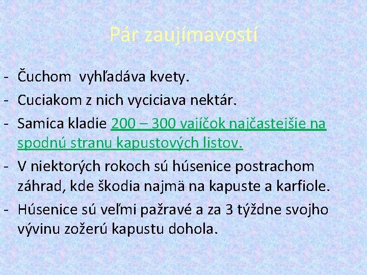 Pár zaujímavostí - Čuchom vyhľadáva kvety. - Cuciakom z nich vyciciava nektár. - Samica