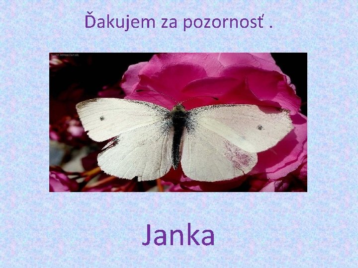 Ďakujem za pozornosť. Janka 