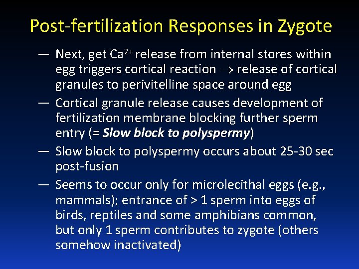 Post-fertilization Responses in Zygote — Next, get Ca 2+ release from internal stores within