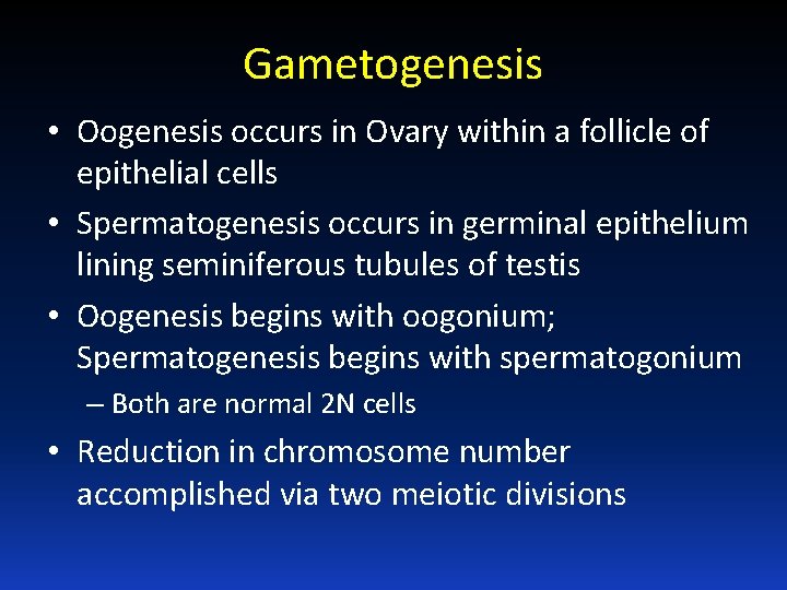 Gametogenesis • Oogenesis occurs in Ovary within a follicle of epithelial cells • Spermatogenesis
