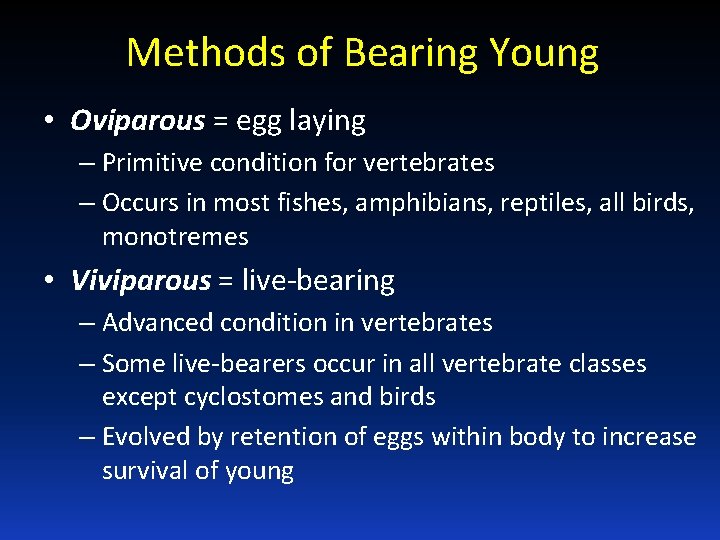 Methods of Bearing Young • Oviparous = egg laying – Primitive condition for vertebrates