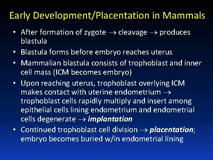 Early Development/Placentation in Mammals • After formation of zygote cleavage produces blastula • Blastula