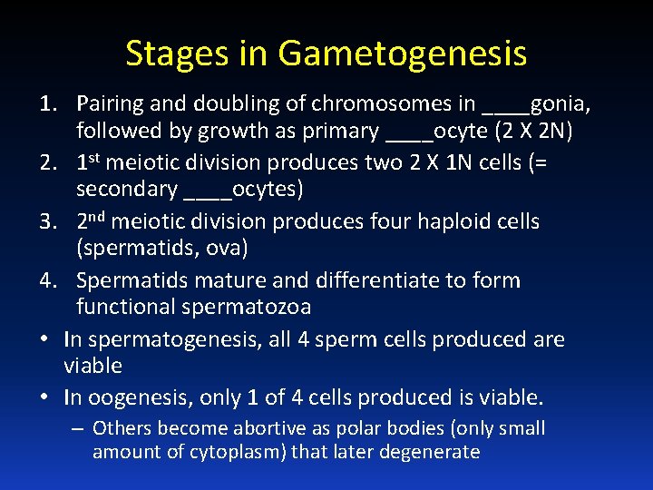 Stages in Gametogenesis 1. Pairing and doubling of chromosomes in ____gonia, followed by growth