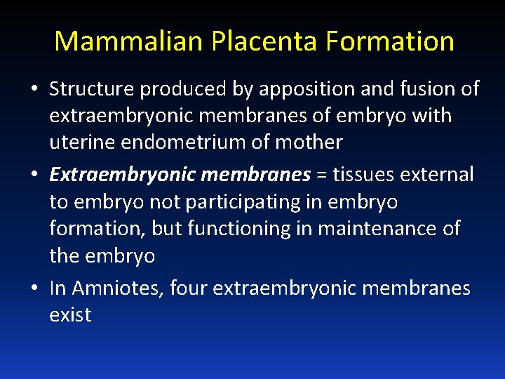 Mammalian Placenta Formation • Structure produced by apposition and fusion of extraembryonic membranes of