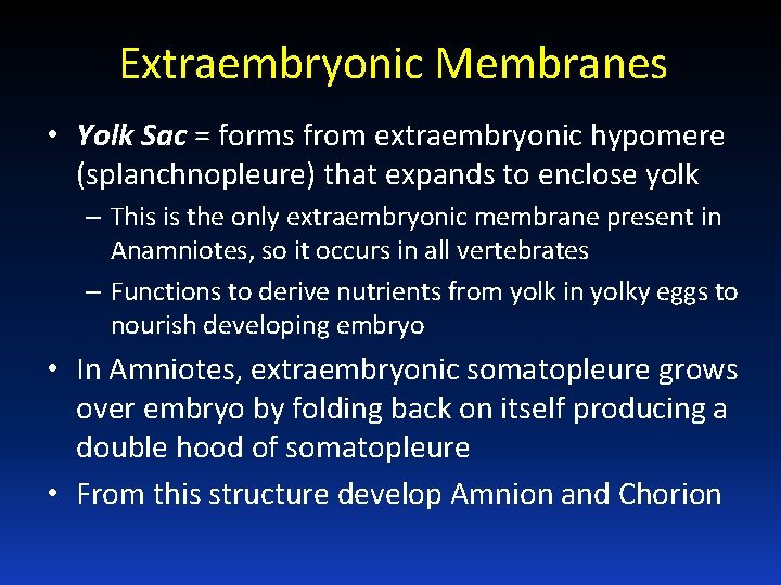 Extraembryonic Membranes • Yolk Sac = forms from extraembryonic hypomere (splanchnopleure) that expands to