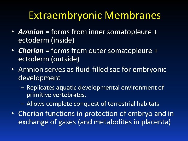 Extraembryonic Membranes • Amnion = forms from inner somatopleure + ectoderm (inside) • Chorion