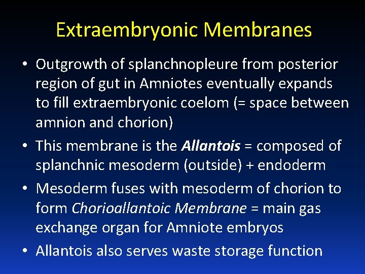 Extraembryonic Membranes • Outgrowth of splanchnopleure from posterior region of gut in Amniotes eventually