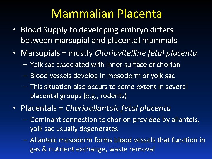 Mammalian Placenta • Blood Supply to developing embryo differs between marsupial and placental mammals