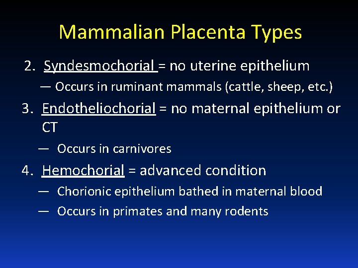 Mammalian Placenta Types 2. Syndesmochorial = no uterine epithelium — Occurs in ruminant mammals