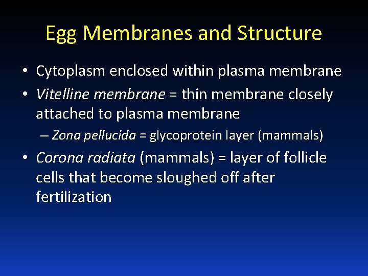 Egg Membranes and Structure • Cytoplasm enclosed within plasma membrane • Vitelline membrane =