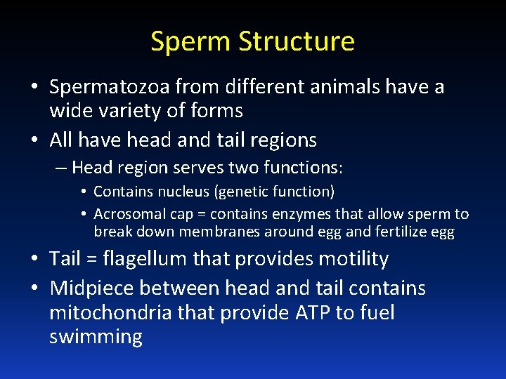 Sperm Structure • Spermatozoa from different animals have a wide variety of forms •