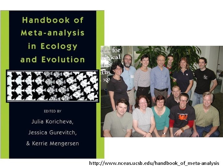 http: //www. nceas. ucsb. edu/handbook_of_meta-analysis 