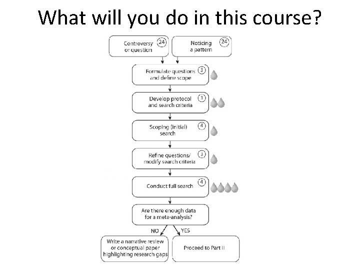 What will you do in this course? 