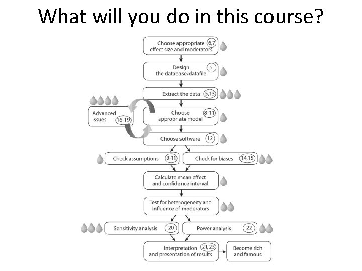 What will you do in this course? 