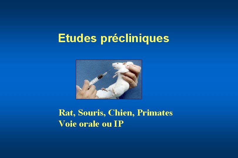 Etudes précliniques Rat, Souris, Chien, Primates Voie orale ou IP 