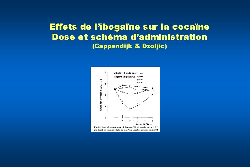 Effets de l’ibogaïne sur la cocaïne Dose et schéma d’administration (Cappendijk & Dzoljic) 