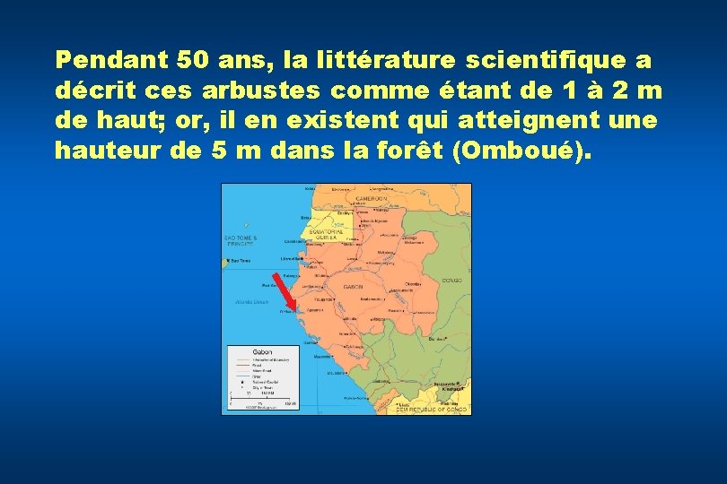 Pendant 50 ans, la littérature scientifique a décrit ces arbustes comme étant de 1