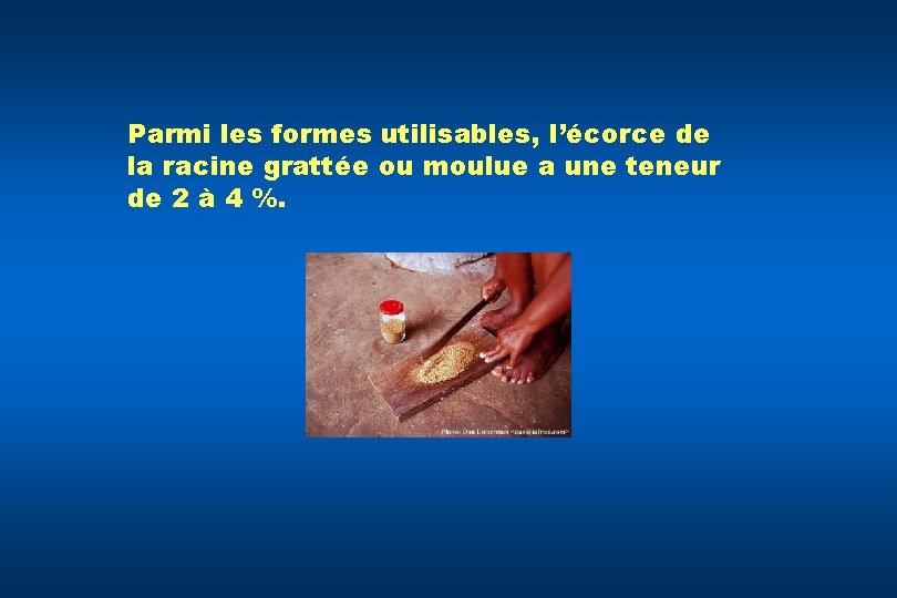 Parmi les formes utilisables, l’écorce de la racine grattée ou moulue a une teneur
