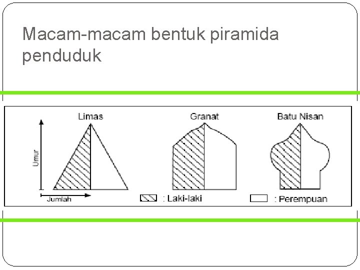 Macam-macam bentuk piramida penduduk 