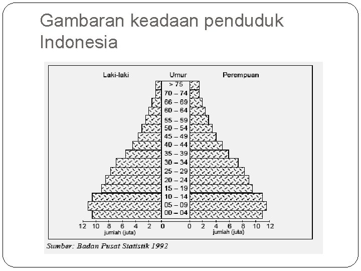 Gambaran keadaan penduduk Indonesia 